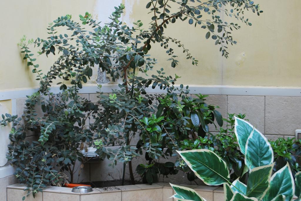 Apartment Casa Francesca Syracuse Bagian luar foto